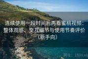 连续使用一段时间后再看蜜桃视频：整体观感、交互细节与使用节奏评价（新手向）