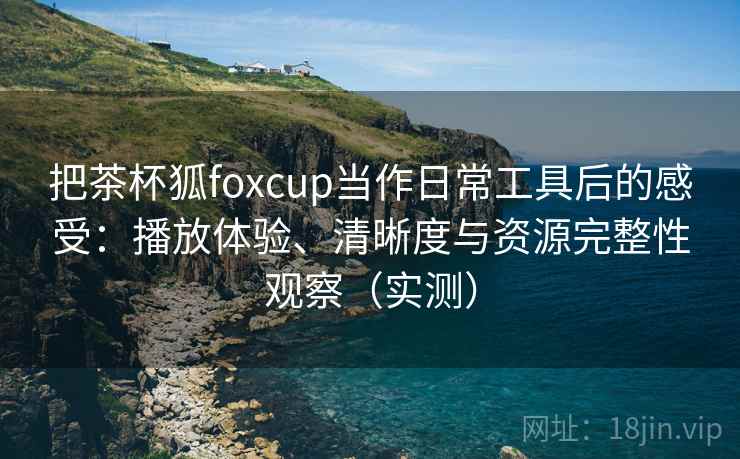 把茶杯狐foxcup当作日常工具后的感受：播放体验、清晰度与资源完整性观察（实测）