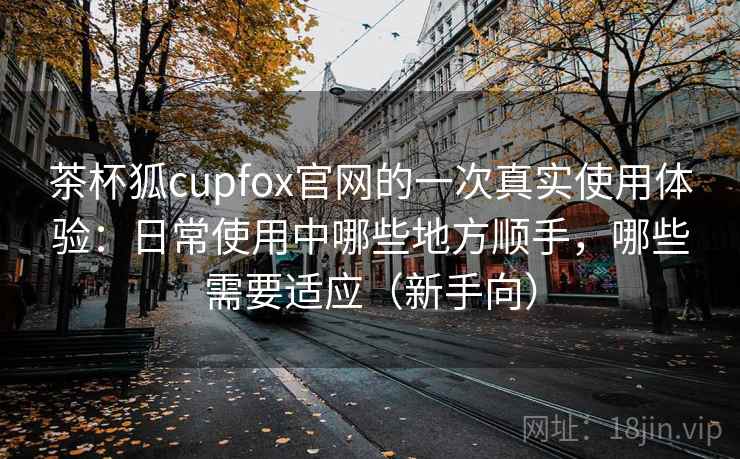 茶杯狐cupfox官网的一次真实使用体验：日常使用中哪些地方顺手，哪些需要适应（新手向）