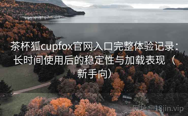 茶杯狐cupfox官网入口完整体验记录：长时间使用后的稳定性与加载表现（新手向）