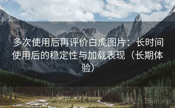 多次使用后再评价白虎图片：长时间使用后的稳定性与加载表现（长期体验）