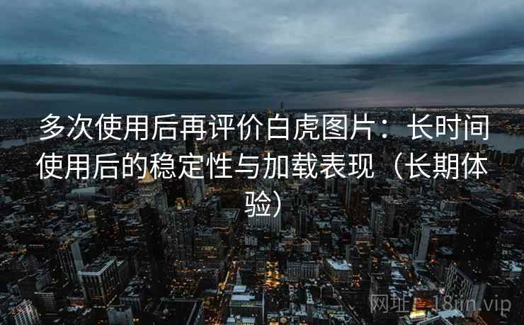多次使用后再评价白虎图片：长时间使用后的稳定性与加载表现（长期体验）