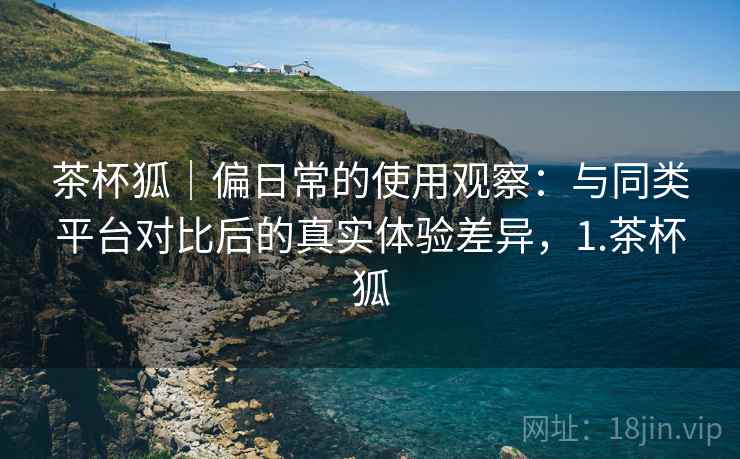 茶杯狐｜偏日常的使用观察：与同类平台对比后的真实体验差异，1.茶杯狐