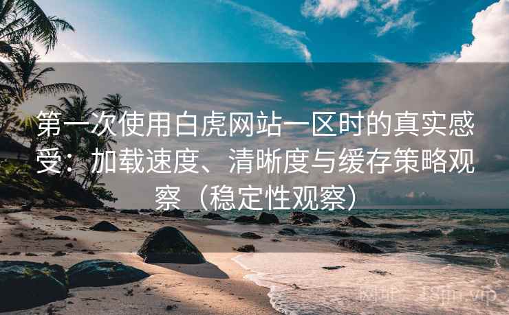 第一次使用白虎网站一区时的真实感受：加载速度、清晰度与缓存策略观察（稳定性观察）