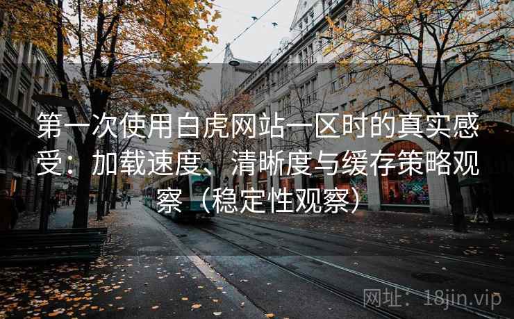 第一次使用白虎网站一区时的真实感受：加载速度、清晰度与缓存策略观察（稳定性观察）